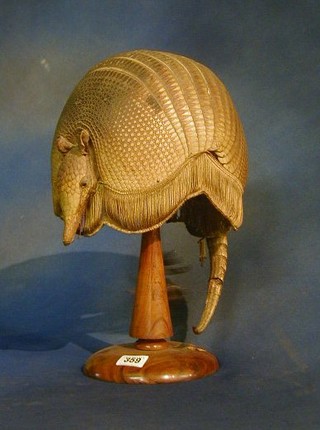 A preserved Armadillo shell converted for use as  a lamp shade