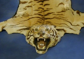 A tiger skin rug 