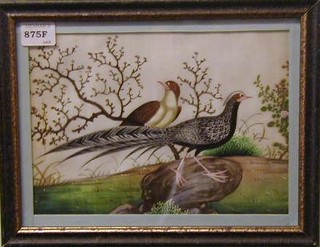 An 18th/19th Century watercolour drawing on rice paper "Two Pheasants" 7" x 9"