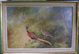 J Stinton, oil painting on board "Cock and Hen Pheasants" 12" x 18"