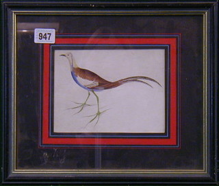 An 18th Century watercolour drawing "Bird" 
