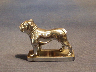 A chromium plated car mascot in the form of a bull dog