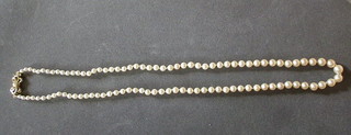 A string of 100 cultured pearls 19"