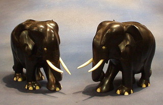 A pair of large ebony figures of elephants with ivory tusks 9"