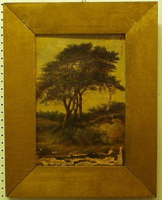 A 19th Century oil painting on canvas "Trees" 13" x 8" (some paint loss)