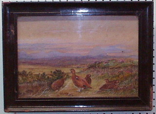 T Hopkins, watercolour "Highland Scene with Grouse" 9" x 12" signed and dated