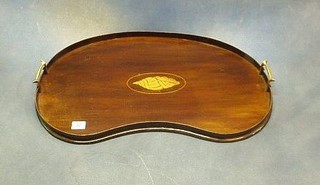 An Edwardian inlaid mahogany kidney shaped twin handled tea tray 24"