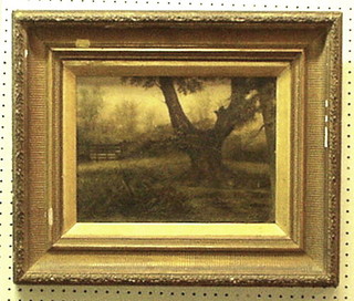 A 19th Century oil painting on canvas "Blasted Oak by a Five Bar Gate" 10" x 13"