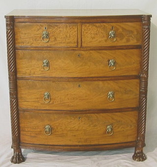 A William IV mahogany bow front chest of 2 short and 3 long drawers with brass lion mask handles and spiral turned columns to the sides, raised on paw feet, 36"