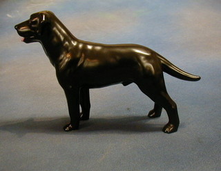 A Sylvac figure of a black labrador, the base marked Sylvacware England 7"