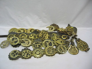 A collection of horse brasses hung on martingales