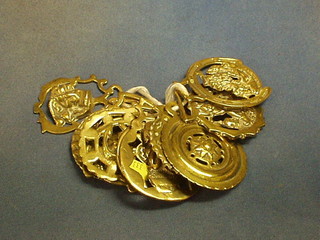 11 various horse brasses