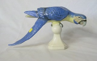 A Royal Dux porcelain figure of a seated cockatoo 9"