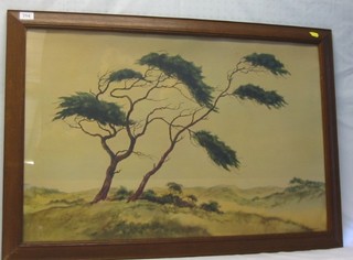 A 1930's coloured print "Pines in the Dunes" 19" x 30"