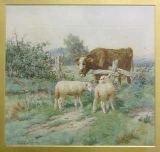 Claude Cardon, watercolour drawing "Standing Cow by a Post and Rail Fence with Two Standing Sheep", 10" x 11" signed and dated '94