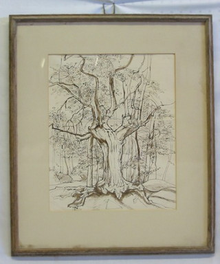 A pencil drawing "Tree" 12" x 9 1/2" indistinctly signed
