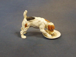 A Royal Doulton figure of a dog drinking, the base marked Royal Doulton Made in England HN1158 