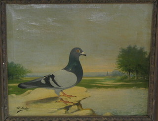 C H Mertens, oil painting on canvas "Seated Ferrel Pigeon by a Lake" signed and dated 1909  17" x 21" 