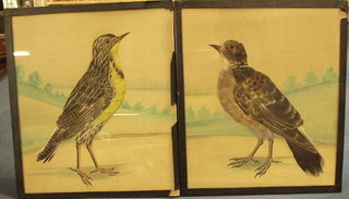 2 Victorian bird feather collages of a turtle dove and a meadow lark 11" x 10 1/2"