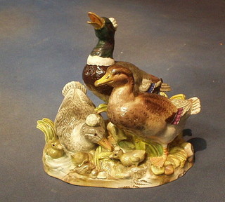 A "Meissen" porcelain figure group of 2 Mallard ducks on an oval base, the base with cross swords mark and incised G165 (f and r) 9"