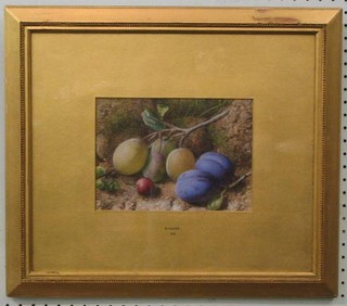 G Clare, watercolour drawing, still life "Study of Fruit in Naturalistic Surroundings" 7" x 9" signed and dated 1873