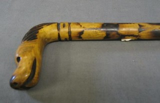 A carved wooden walking stick the handle in the form of a dogs head