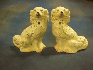 A pair of Staffordshire figures of seated  dogs 12"