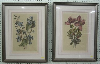 A pair of 19th Century Botanical prints after N Roberts 15" x 10"