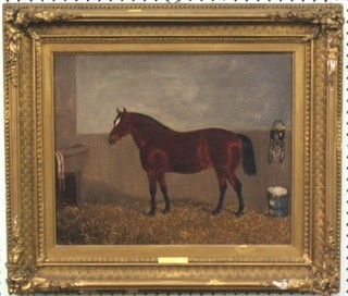 J F Herring Jnr. oil painting on canvas "Chestnut Horse in Stable" 12" x 15" (relined)