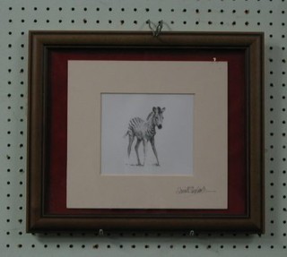 David Shepherd, a monochrome print "Standing Zebra" signed in the margin 5" x 5"