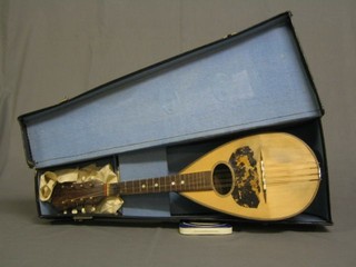 A mandolin by Il Globo, cased