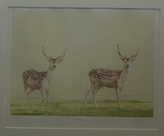 Simon Bils, a limited edition coloured print "Fallow Deer" 12" x 16"