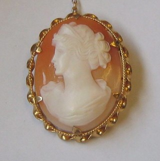 A shell carved cameo portrait brooch of a lady contained in a gilt mount