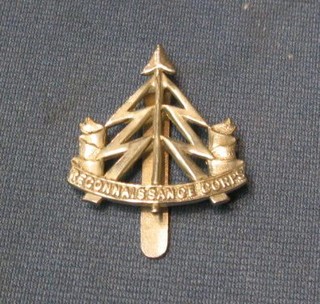 A reconnaissance Corps cap badge 