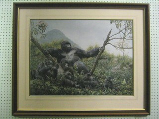 Simon Coombes, a limited edition coloured print, "Gorillas" signed and numbered under the mount, 20" x 27"
