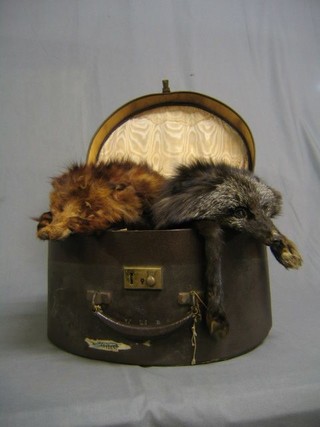 A circular hat box containing a collection of stoles, fox fur etc