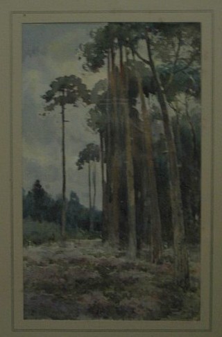 Watercolour "High Trees" 10" x 6"