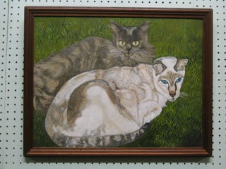 Oil painting on board "Study of Two Cats" 13" x 17"