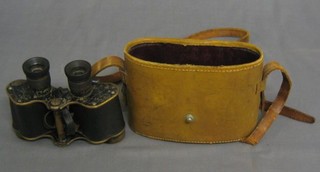 A pair of field glasses in leather carrying case