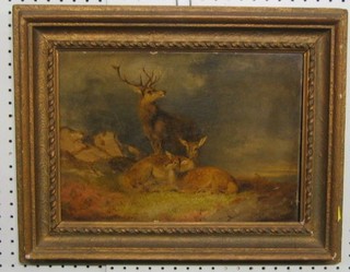 A 19th Century coloured print "Stag with 2 Seated Deer in Moorland" 10" x 14"