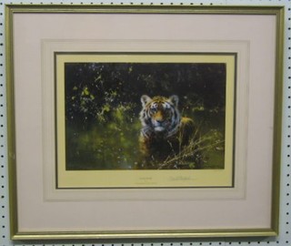 A limited edition coloured print after David Shepherd "Cool Tiger" signed in the margin 8" x 12"