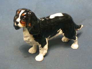 A Beswick figure of a King Charles Spaniel 8"