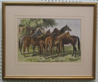 An 18th/19th Century coloured print "Standing Horses" 9" x 13"