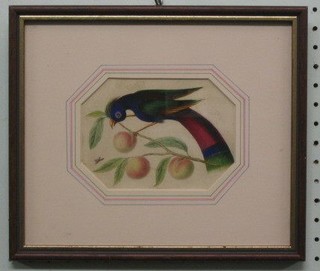 A 19th Century watercolour "Exotic Bird with Fruit" contained in an octagonal shaped mount 4" x 6"