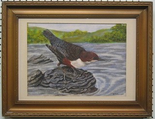 G A Hancock, watercolour "Seated Bird" 8" x 11"