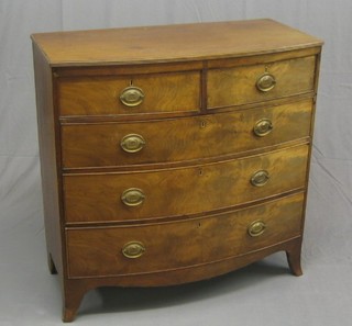 A 19th Century mahogany bow front chest of 2 short and 3 long drawers with brass oval plate drop handles, raised on splayed bracket feet, 41"