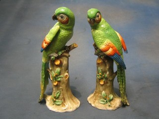 A pair of 19th Century Continental porcelain figures of parrots 12"