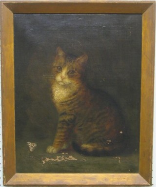 L B Hanna, Victorian oil painting on canvas "Seated Tabby Cat" 16" x 13" (small hole and some paint loss)