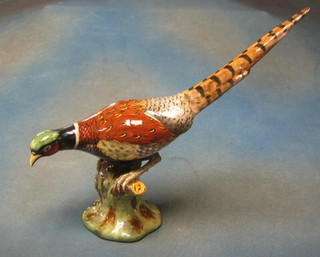 A pottery figure of a seated cock pheasant 18" (chip to beak)