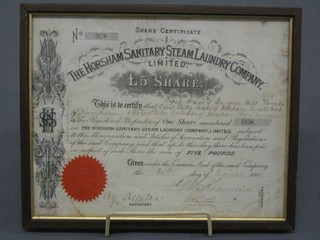 A framed share certificate 5 Shares of the Horsham Sanitary and Steam Laundry Company 1888
